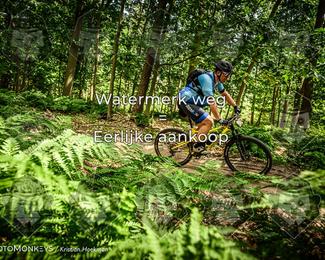 Bartje 200 photo