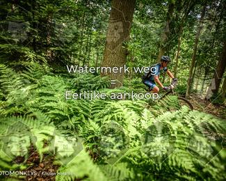 Bartje 200 photo