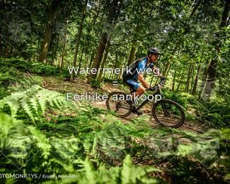 Bartje 200 photo