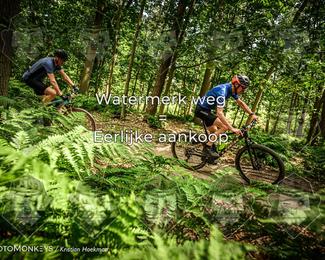 Bartje 200 photo