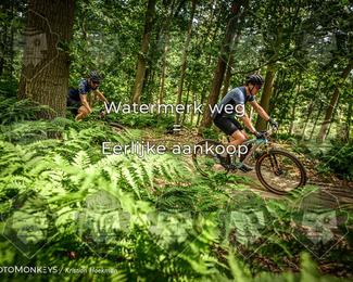 Bartje 200 photo