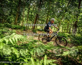 Bartje 200 photo