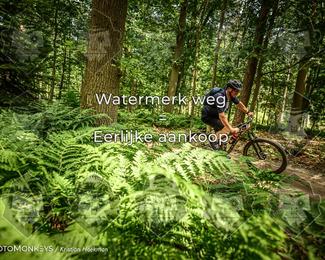 Bartje 200 photo