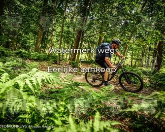 Bartje 200 photo