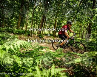 Bartje 200 photo