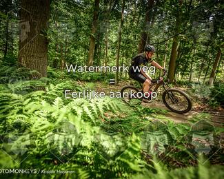 Bartje 200 photo
