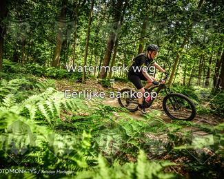 Bartje 200 photo