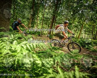 Bartje 200 photo