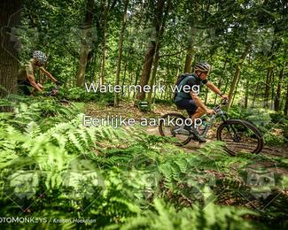 Bartje 200 photo