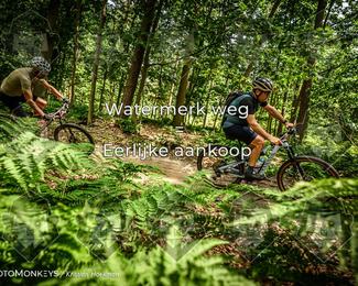 Bartje 200 photo