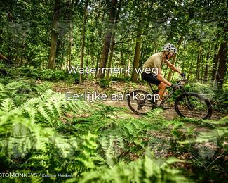 Bartje 200 photo