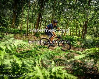 Bartje 200 photo