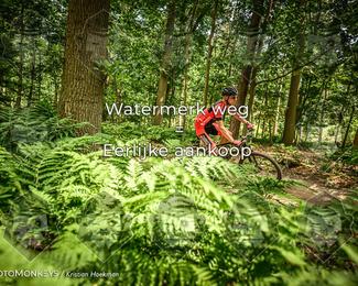 Bartje 200 photo