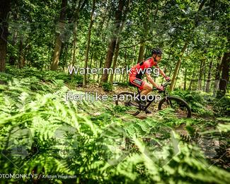 Bartje 200 photo