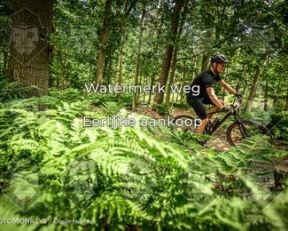 Bartje 200 photo