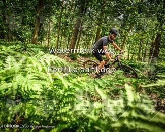 Bartje 200 photo