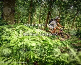 Bartje 200 photo