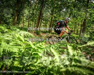 Bartje 200 photo