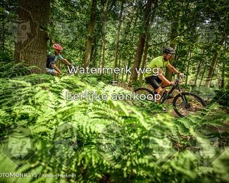 Bartje 200 photo
