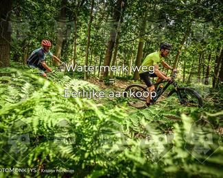 Bartje 200 photo