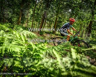 Bartje 200 photo