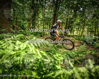 Bartje 200 photo