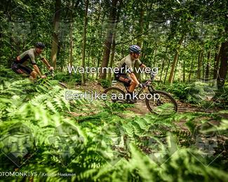 Bartje 200 photo