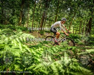 Bartje 200 photo