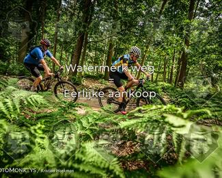 Bartje 200 photo