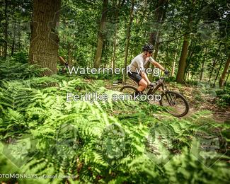 Bartje 200 photo