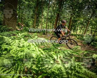Bartje 200 photo