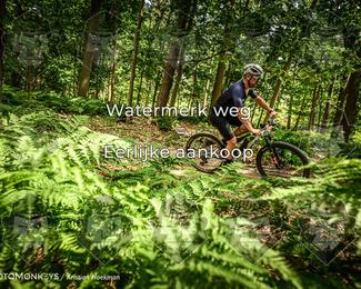 Bartje 200 photo