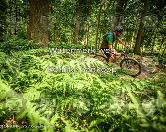 Bartje 200 photo