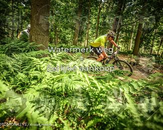 Bartje 200 photo