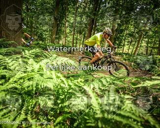 Bartje 200 photo