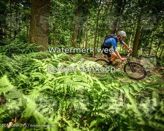 Bartje 200 photo