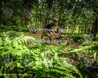 Bartje 200 photo
