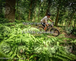 Bartje 200 photo