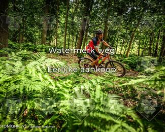 Bartje 200 photo