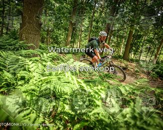 Bartje 200 photo