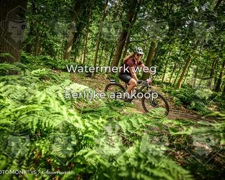 Bartje 200 photo