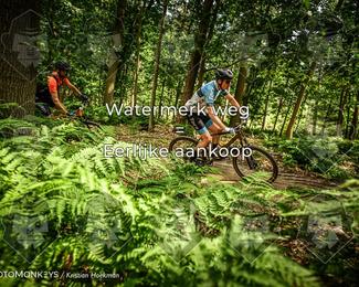 Bartje 200 photo