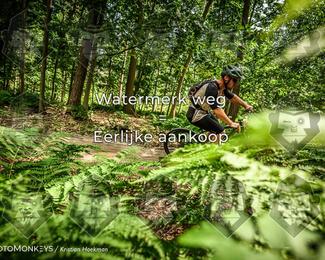 Bartje 200 photo