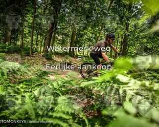 Bartje 200 photo