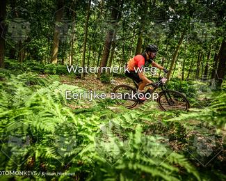 Bartje 200 photo