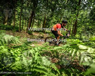 Bartje 200 photo