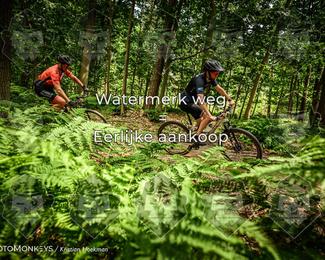 Bartje 200 photo