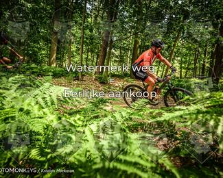 Bartje 200 photo