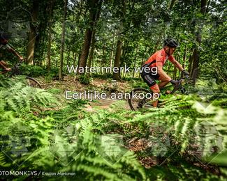 Bartje 200 photo