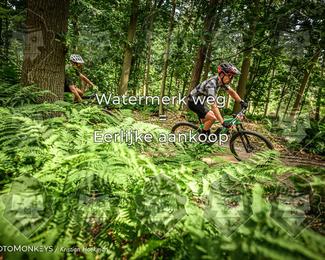 Bartje 200 photo
